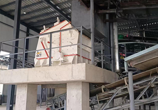 高效细碎机客户现场实拍4