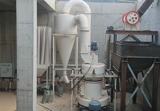 雷蒙磨粉机客户现场实拍1