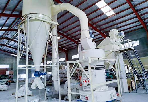 雷蒙磨粉机客户现场实拍4