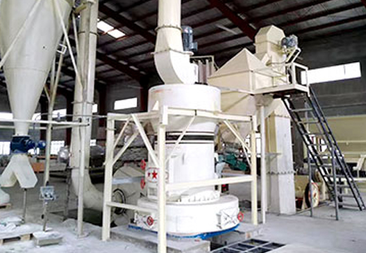 雷蒙磨粉机客户现场实拍3